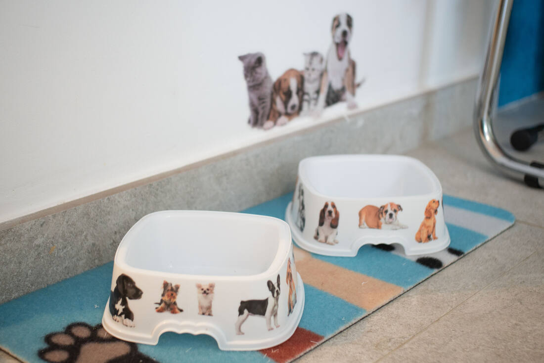 Le ciotole di benvenuto per i cani